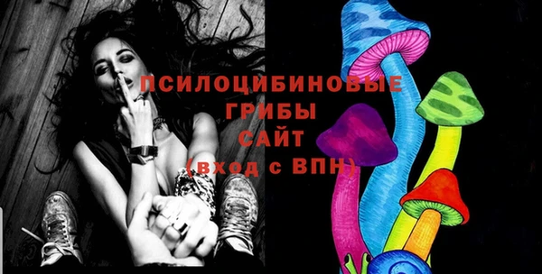хмурый Богородицк