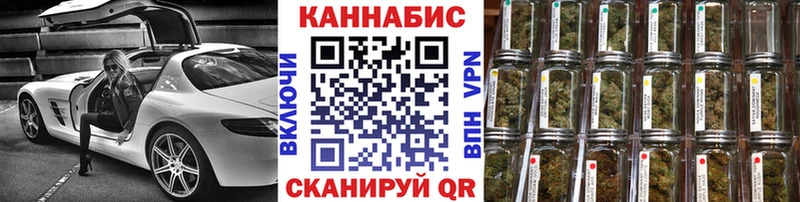 где купить   Клинцы  Шишки марихуана сатива 